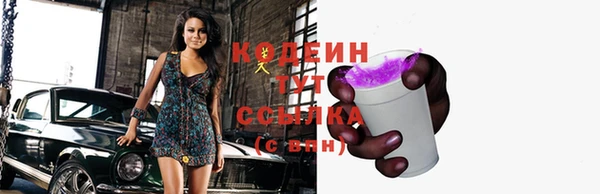 дмт Корсаков